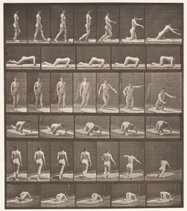 Placa 272. Tropeçando e caindo no chão de Eadweard Muybridge