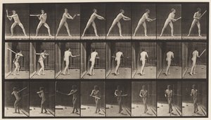 Placa 277. Base-ball; Rebatidas de Eadweard Muybridge