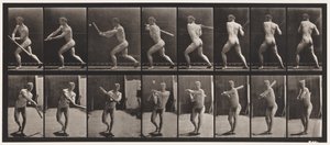 Placa 278. Base-ball; Rebatidas de Eadweard Muybridge