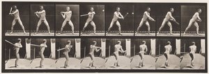 Placa 279. Bola-bola; Bateu, 1885 de Eadweard Muybridge