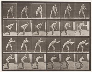 Placa 280. Bola-bola; Captura, 1885 de Eadweard Muybridge
