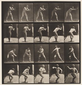 Placa 282.Base-bola; Captura e lançamento, 1885 de Eadweard Muybridge