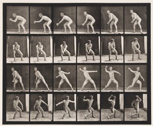 Placa 283. Bola-bola; Captura e lançamento, 1885 de Eadweard Muybridge