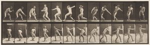 Placa 284. Bola-bola; Captura e lançamento, 1885 de Eadweard Muybridge