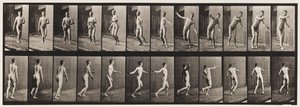 Placa 289.Cricket; Boliche De Braço Redondo, 1885 de Eadweard Muybridge