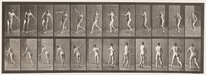 Placa 290.Cricket; Over Arm Bowling, 1885 de Eadweard Muybridge