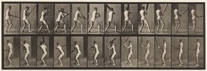 Placa 292.Cricket; Rebatidas; De volta, 1885 de Eadweard Muybridge