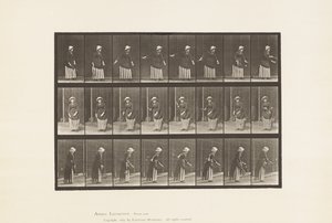 Placa 296. Ténis de Relva de Eadweard Muybridge