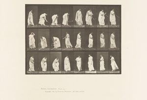 Prato 299. Jogar com uma bola de Eadweard Muybridge