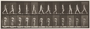 Placa 2. Caminhada, 1872-1885 de Eadweard Muybridge