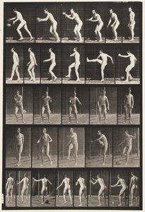 Placa 300. Bola de futebol; chute de queda, 1885 de Eadweard Muybridge