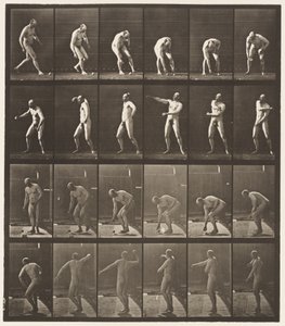 Placa 302.Picking Up uma bola e jogá-lo, 1885 de Eadweard Muybridge