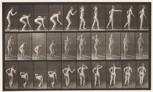 Placa 304. Pegando uma bola e jogando-a de Eadweard Muybridge