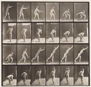 Placa 307. Arremessando um Disco de Ferro, 1872-1885 de Eadweard Muybridge