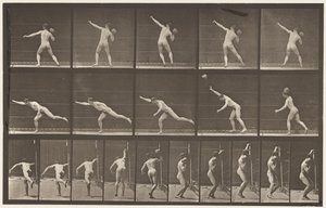 Placa 313.Mudando uma rocha de 20 lb, 1885 de Eadweard Muybridge