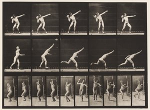 Placa 314. Levantando uma rocha de 20 libras de Eadweard Muybridge