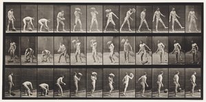 Placa 317. Levantando uma rocha de 70 libras de Eadweard Muybridge