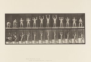 Placa 322. Homem Levantamento de halteres de Eadweard Muybridge