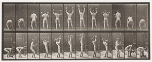 Placa 323. Levantando e Abaixando Dois Dumb-Bells de 50 lb de Eadweard Muybridge
