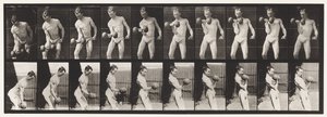 Placa 324. Curling 50 libras. Dumb-Bell, Model, 3-4 de comprimento de Eadweard Muybridge
