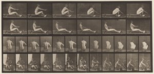 Placa 328. Remo de Eadweard Muybridge