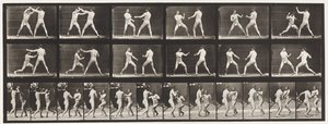 Placa 329. Boxe; (Sapato) de Eadweard Muybridge
