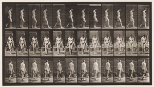 Placa 32. Caminhando, carregando um balde de água em cada mão de Eadweard Muybridge