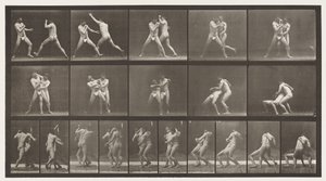 Placa 331. Boxe; Pare para Cross-Buttocks de Eadweard Muybridge