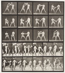 Placa 334. Boxe; Com Luvas (Sapatos) de Eadweard Muybridge