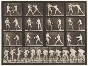Placa 335. Boxe; Com luvas de Eadweard Muybridge