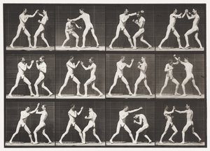 Placa 336. Boxe; Mão aberta (sapatos) de Eadweard Muybridge