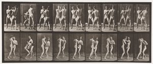 Placa 337. Encaixotamento; Mão aberta de Eadweard Muybridge