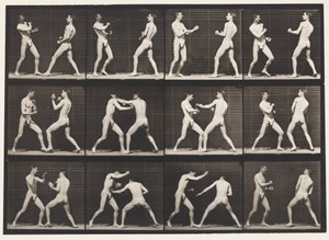 Placa 338. Boxe; Mão aberta (sapatos) de Eadweard Muybridge