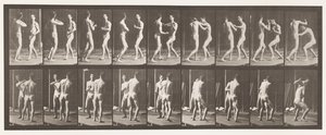 Placa 339. Boxe; Mão aberta de Eadweard Muybridge