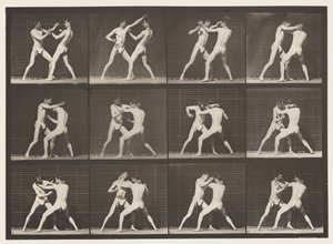 Placa 340. Boxe; Mão aberta de Eadweard Muybridge