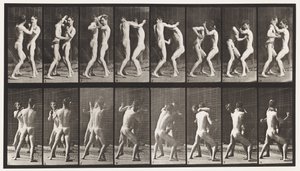 Placa 341. Boxe; Mão Aberta de Eadweard Muybridge