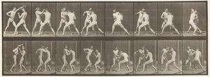 Placa 342. Encaixotamento; Mão Aberta, 1872-1885 de Eadweard Muybridge
