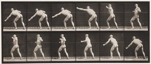 Placa 343. Dando um soco (mão esquerda) de Eadweard Muybridge
