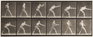 Placa 344. Golpe (Mão direita) de Eadweard Muybridge