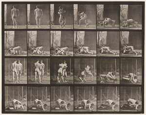 Placa 346. Wrestling, Lock de Eadweard Muybridge