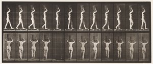 Placa 34. Caminhando de Eadweard Muybridge
