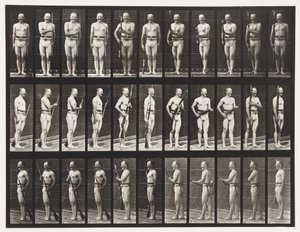 Placa 351. Corrigir e Desbloquear Bayonets, 1872-1885 de Eadweard Muybridge