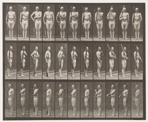 Placa 352. Ombro, ordem e braços de transporte de Eadweard Muybridge