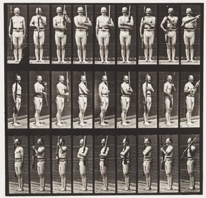 Placa 353. Apoio ao Braço e ao Porto de Armas, 1872-1885 de Eadweard Muybridge