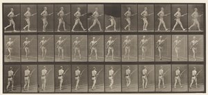 Placa 359. Baioneta de carregamento, 1872-1885 de Eadweard Muybridge