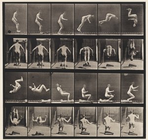 Placa 363.Running Somersault, 1885 de Eadweard Muybridge