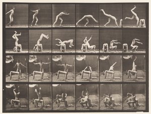 Placa 364. Mola de mão sobre as costas do homem de Eadweard Muybridge