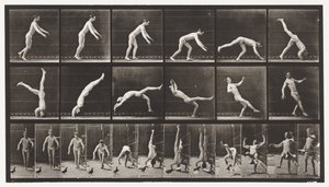Placa 365. Headspring, A Flying Pigeon Interfering de Eadweard Muybridge