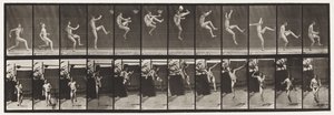 Placa 366. Corrida, engate e chute de Eadweard Muybridge