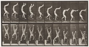 Placa 368. Acrobata, escadas descendentes nas mãos de Eadweard Muybridge